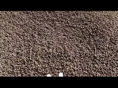 রিং ডাই গ্রানুলেটর